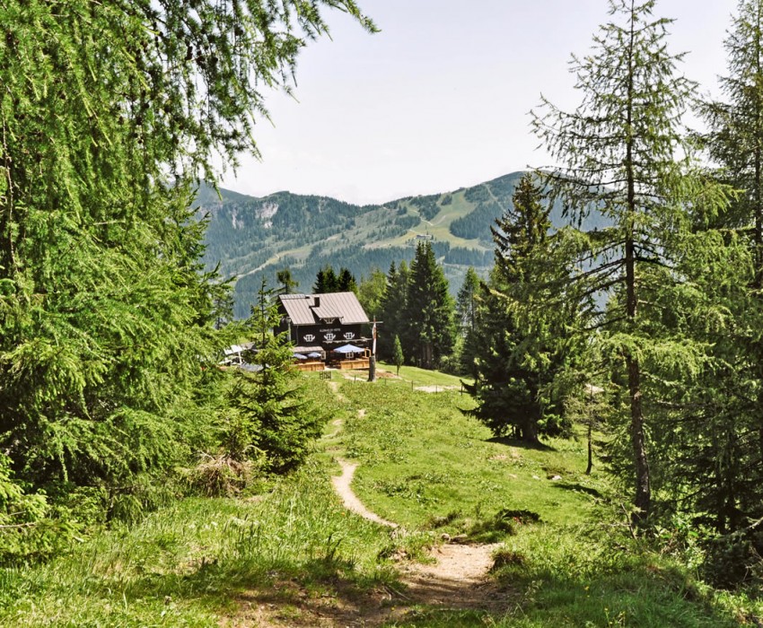 Wandern in der Urlaubregion Wagrain-Kleinarl im Salzburger Land © Wagrain-Kleinarl Tourismus